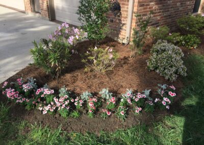 A garden work with the lot of flowers